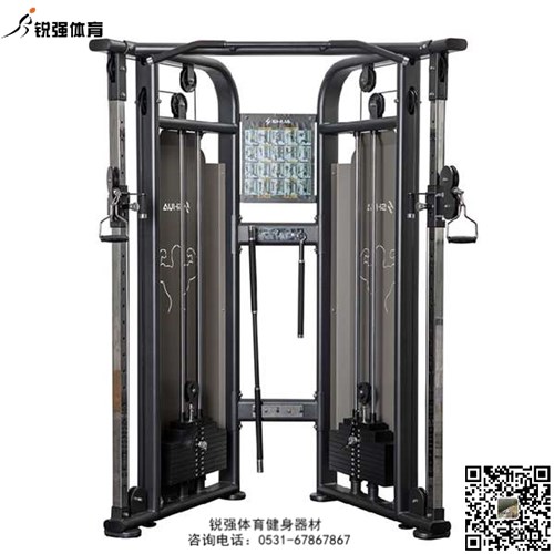 大飞鸟综合训练器 大飞鸟综合训练器